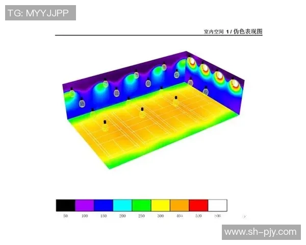 杭州羽毛球队耐力对比研究揭示训练方法与运动表现的关系