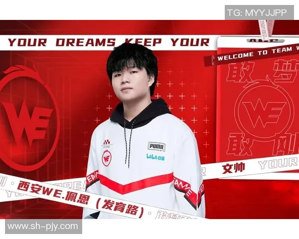 王者荣耀最新速度排行榜揭晓WE战队荣登第四名引发热议