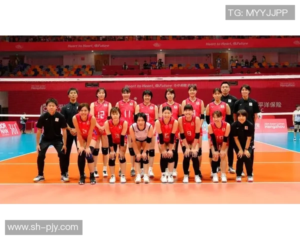 杭州排球队创新高排球配合排名引发全国关注与热议